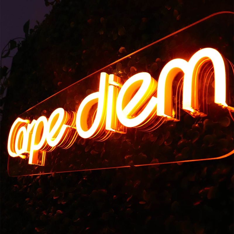 letreiro-neon-carpe-diem-3