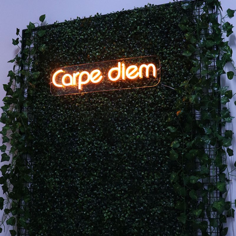 letreiro-neon-carpe-diem-7