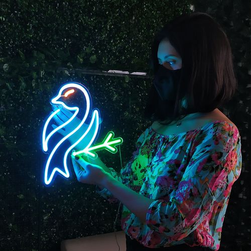 Letreiro Placa Neon Led - Little Bird