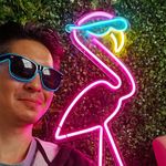 letreiro-placa-neon-led-flamingo-2