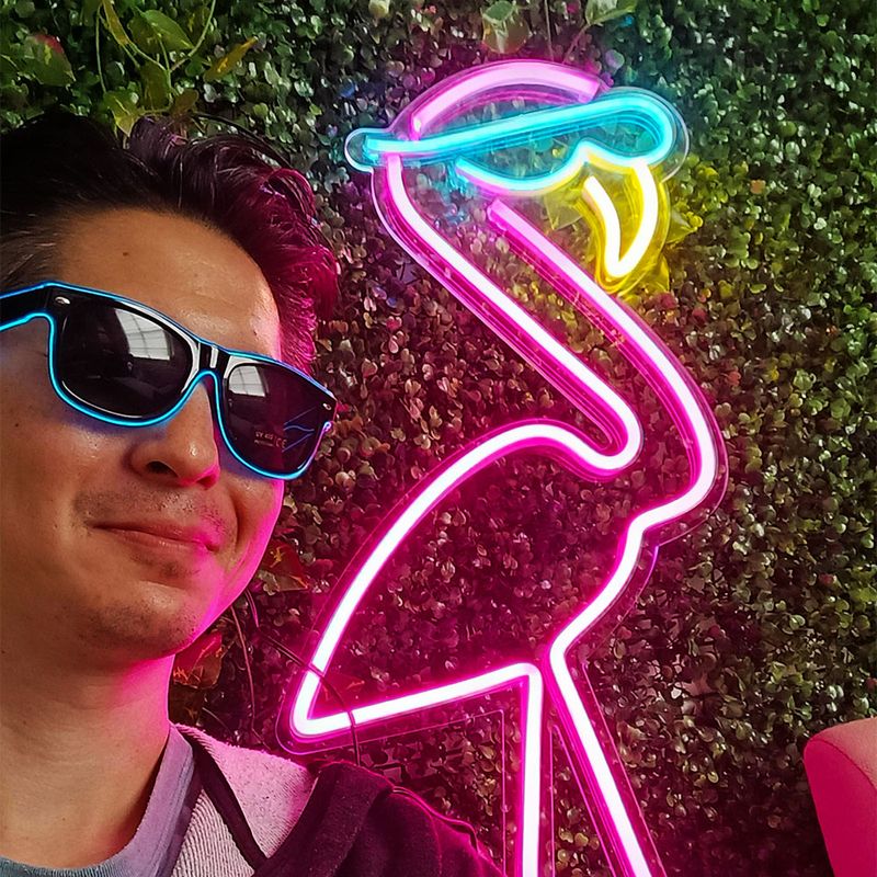 letreiro-placa-neon-led-flamingo-2