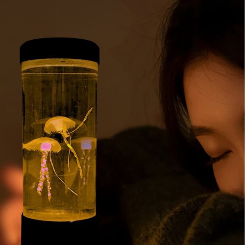 Luminária Ambiente - Água Viva - Led, Rgb, Usb 28cm